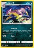 Liepard #49/73