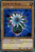 Glow-Up Bulb SDCL-EN021