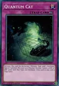 Quantum Cat SDCL-EN037