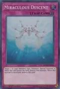 Miraculous Descent SPWA-EN060