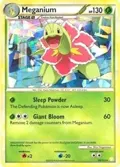 Meganium - 26/123 (Cracked Ice Holo) #026/123