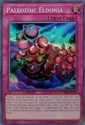 Paleozoic Eldonia OP06-EN007