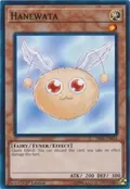 Hanewata SR05-EN024