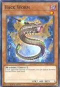 Hack Worm SP18-EN015