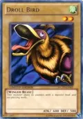 Droll Bird WCPP-EN001