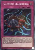 Paleozoic Leanchoilia OP07-EN013