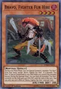 Bravo, Fighter Fur Hire DASA-EN019