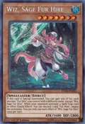 Wiz, Sage Fur Hire DASA-EN022