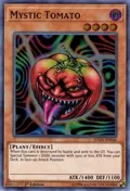 Mystic Tomato DASA-EN046