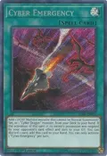Cyber Emergency BLRR-EN016
