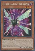 Hibernation Dragon BLRR-EN041