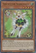 Trickstar Narkissus BLRR-EN080