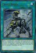 Cross Breed CYHO-EN066