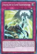 Ninjitsu Art of Super-Transformation SHVA-EN029