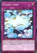 Packet Link SDPL-EN031