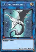 LANphorhynchus SDPL-EN042
