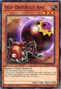 Self-Destruct Ant MP18-EN124