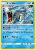 Gyarados #20/70