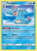 Feraligatr #24/70