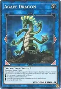 Agave Dragon SOFU-EN048