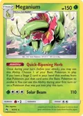 Meganium #8/214