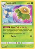 Skiploom #13/214