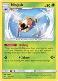 Ninjask #30/214