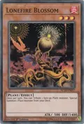 Lonefire Blossom AC18-EN017