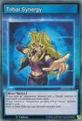 Tribal Synergy SS02-ENCS3