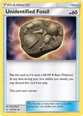 Unidentified Fossil #155/181