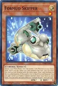 Formud Skipper SDSB-EN022