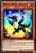 White Rose Dragon SAST-ENSE4