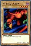 Whiptail Crow SBLS-EN002