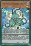Predaplant Spider Orchid DUPO-EN035