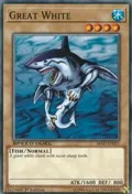 Great White SBAD-EN021