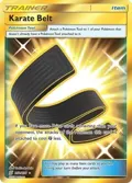 Karate Belt (Secret) #252/236
