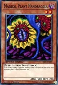 Magical Plant Mandragola SBSC-EN001