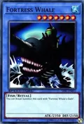 Fortress Whale SBSC-EN015
