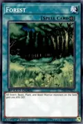 Forest SS03-ENB17