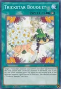 Trickstar Bouquet MP19-EN035