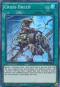 Cross Breed MP19-EN124