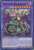 Predaplant Dragostapelia MP19-EN228