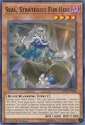 Seal, Strategist Fur Hire MP19-EN248