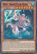 Wiz, Sage Fur Hire MP19-EN252