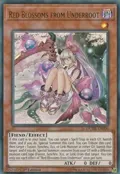 Red Blossoms from Underroot DUDE-EN006