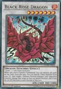 Black Rose Dragon DUDE-EN010