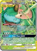 Venusaur & Snivy GX #1/236