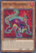 Evoltile Megachirella CHIM-EN020
