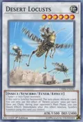 Desert Locusts CHIM-EN082