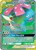 Venusaur & Snivy GX (Full Art) #210/236